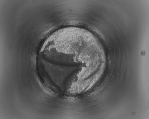 X0000094440542200712061140