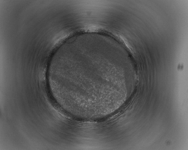 X0000094440543200712061140