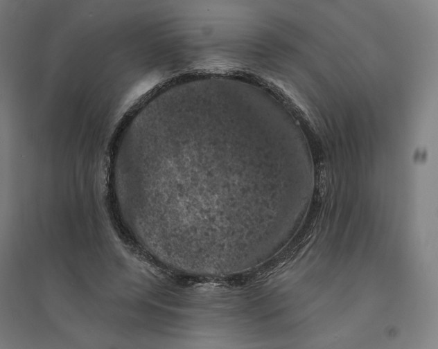 X0000094440544200712061140