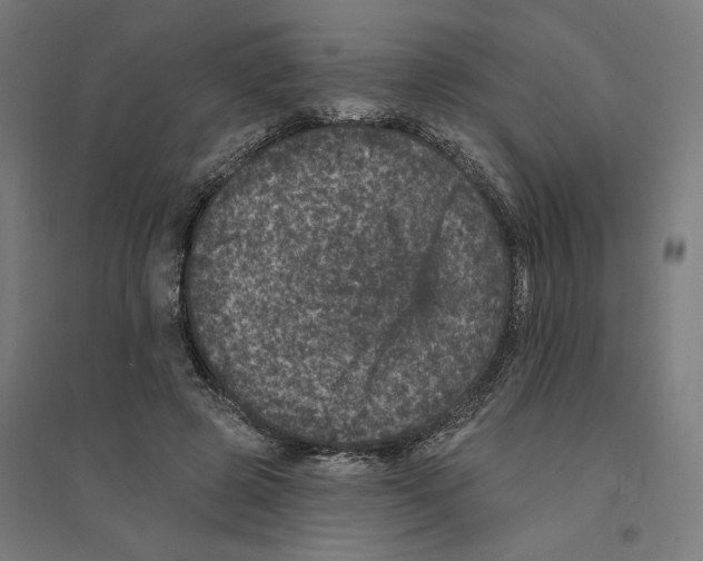 X0000094440545200712061140