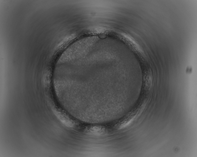 X0000094440546200712061140