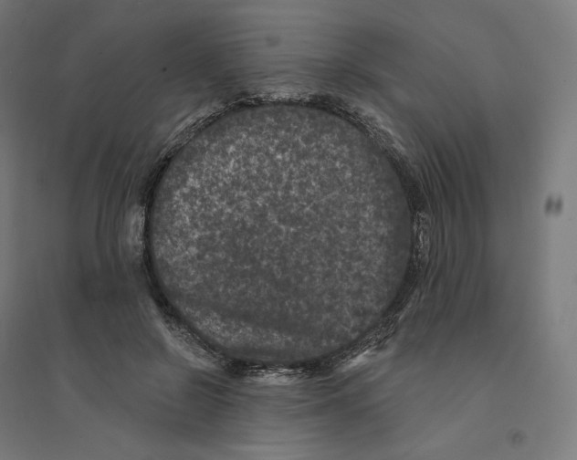 X0000094440550200712061140