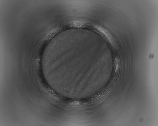 X0000094440551200712061140