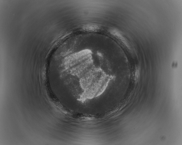 X0000094440552200712061140