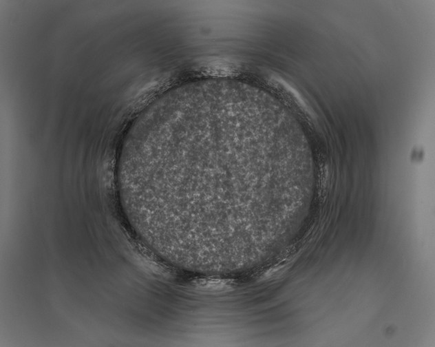 X0000094440553200712061140