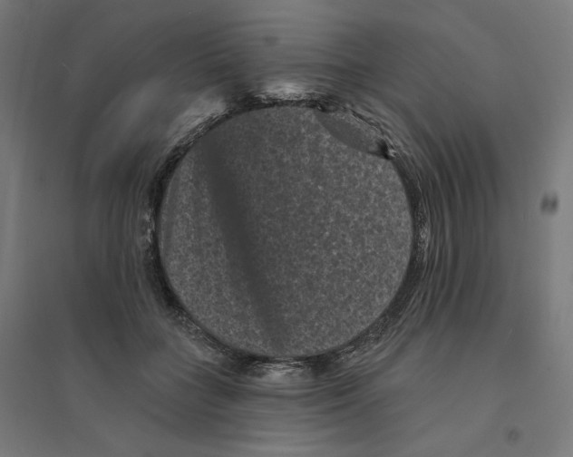 X0000094440555200712061140