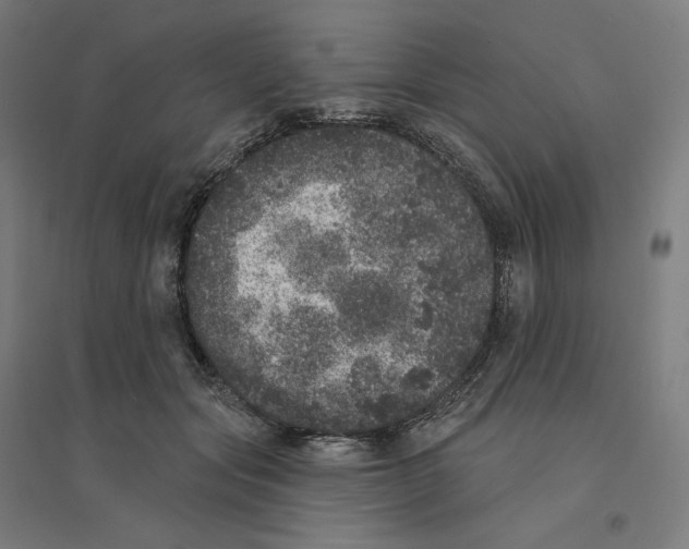 X0000094440557200712061140