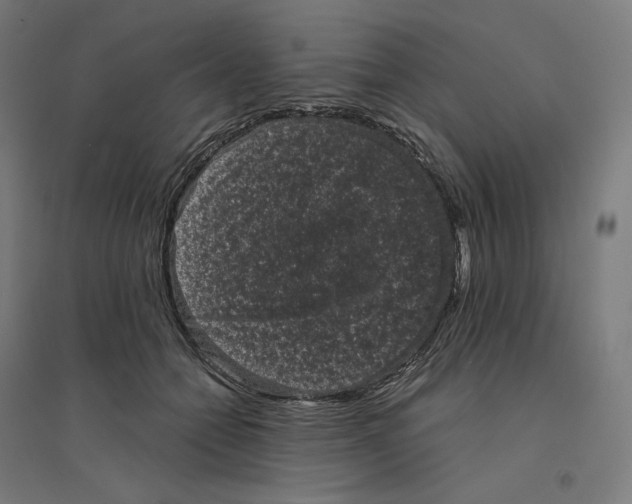 X0000094440558200712061140