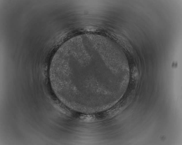 X0000094440559200712061140