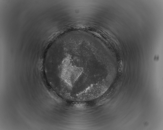 X0000094440560200712061140