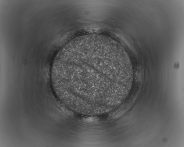 X0000094440561200712061140