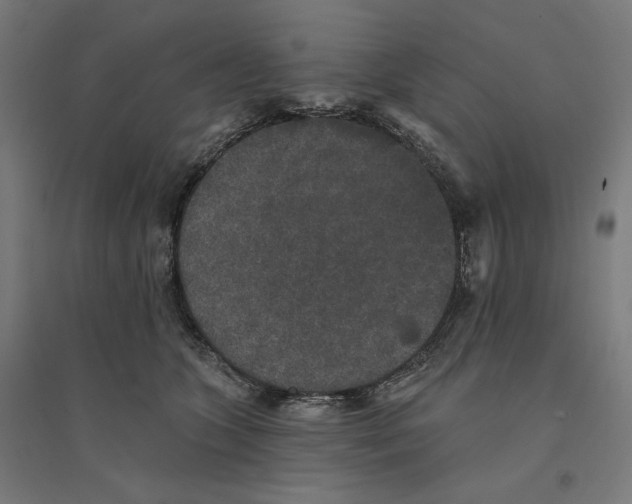 X0000094440563200712061140