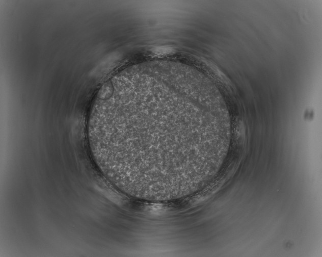 X0000094440565200712061140