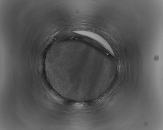 X0000094440566200712061140