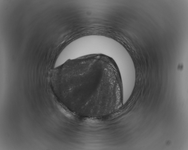 X0000094440568200712061140