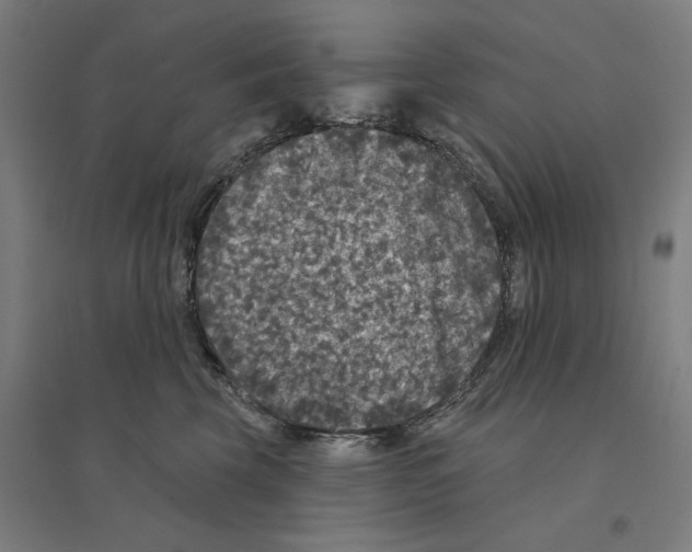 X0000094440569200712061140