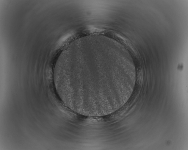 X0000094440571200712061140