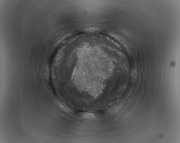 X0000094440572200712061140