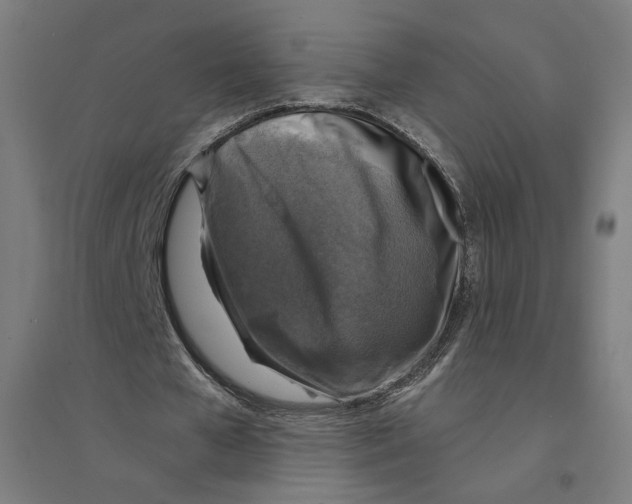 X0000094440577200712061140