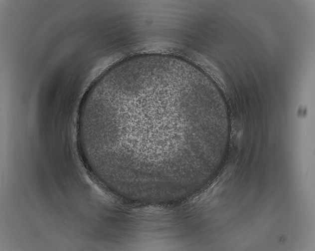 X0000094440578200712061140