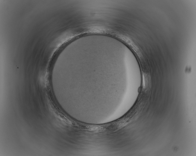 X0000094440579200712061140