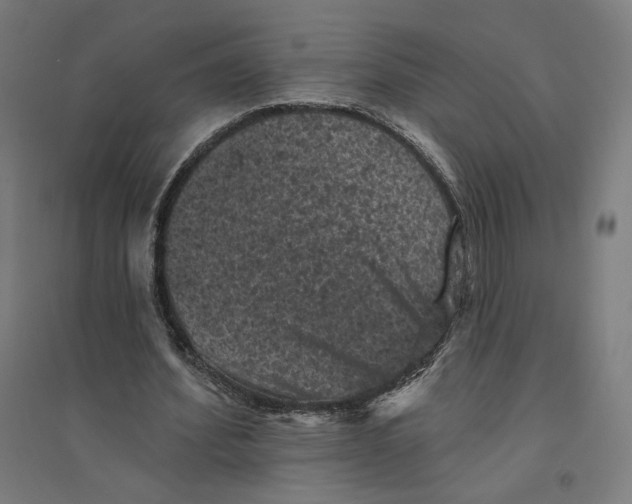 X0000094440580200712061140