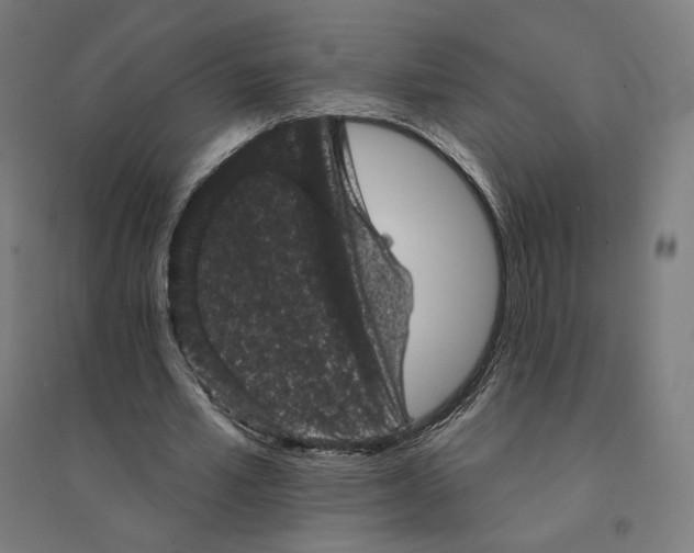 X0000094440581200712061140