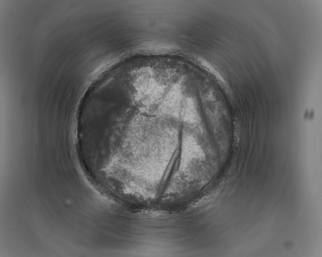 X0000094440582200712061140