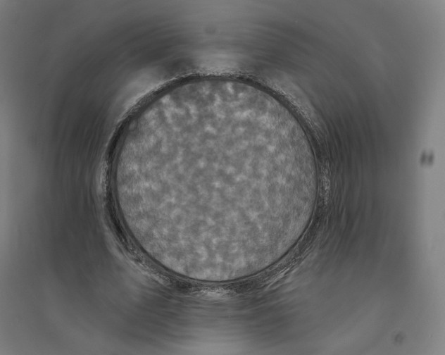 X0000094440583200712061140