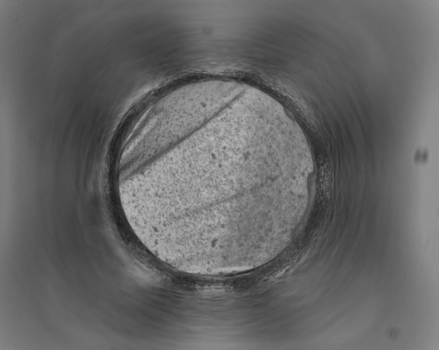 X0000094440587200712061140