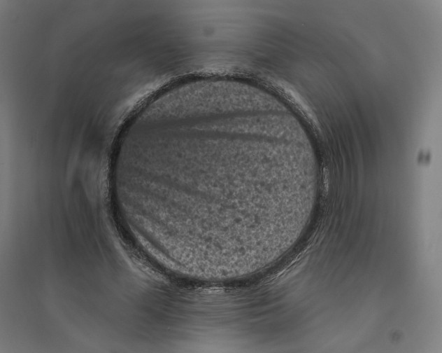 X0000094440588200712061140