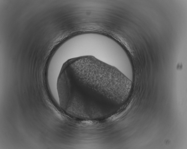 X0000094440589200712061139