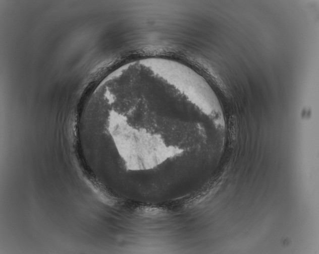 X0000094440590200712061139