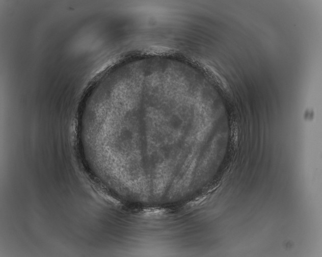 X0000094440591200712061139