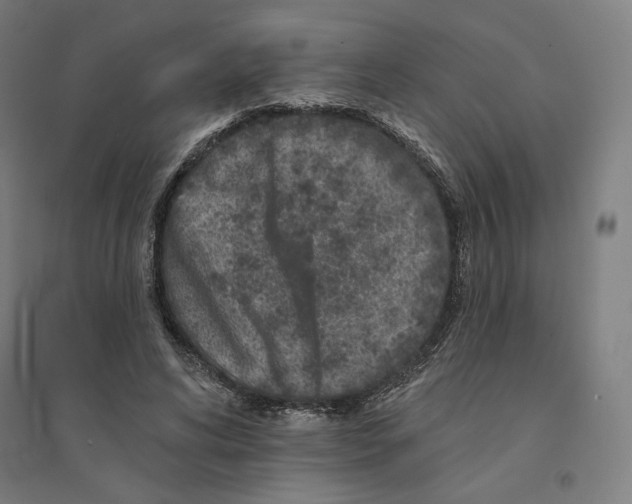 X0000094440592200712061139