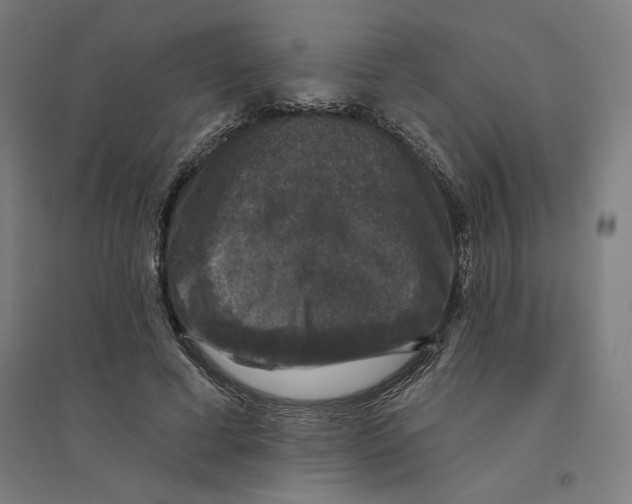 X0000094440593200712061139