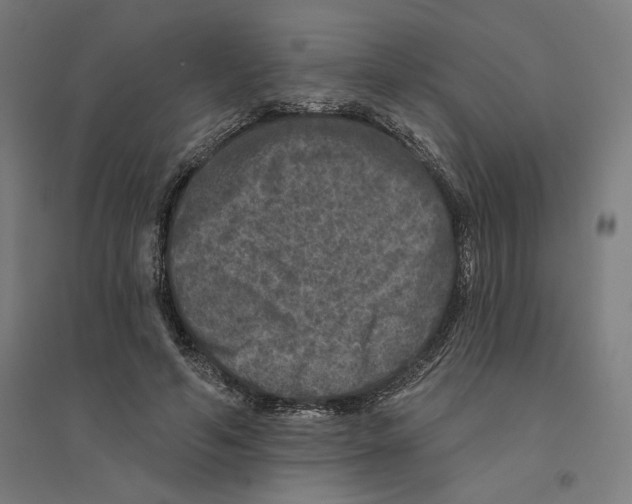 X0000094440594200712061139