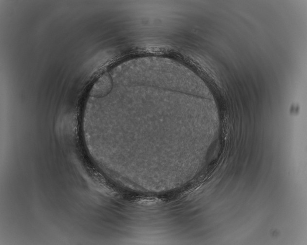 X0000094440595200712061139