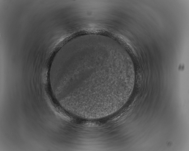 X0000094440596200712061139