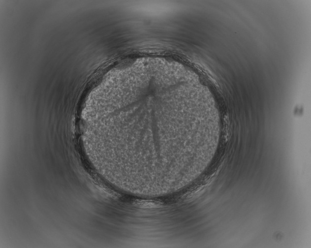 X0000094440597200712061139