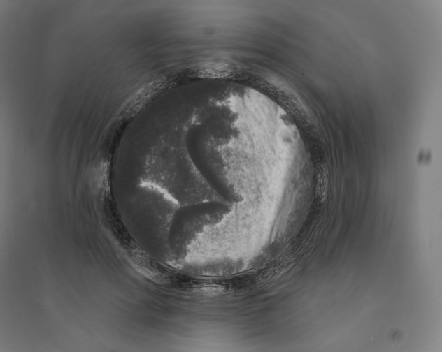 X0000094440598200712061139