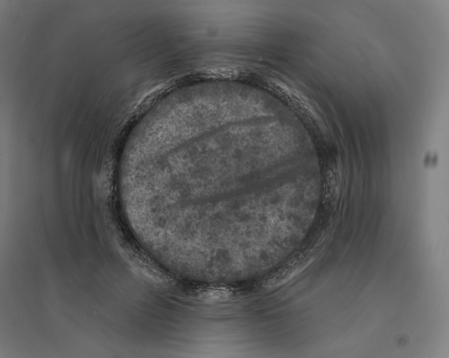 X0000094440600200712061139