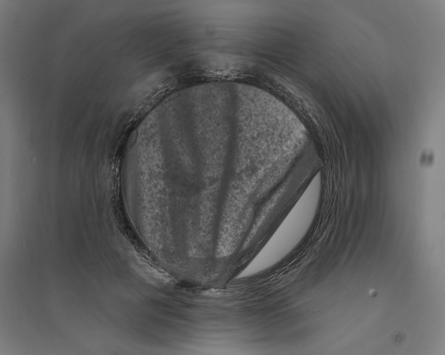 X0000094440601200712061139