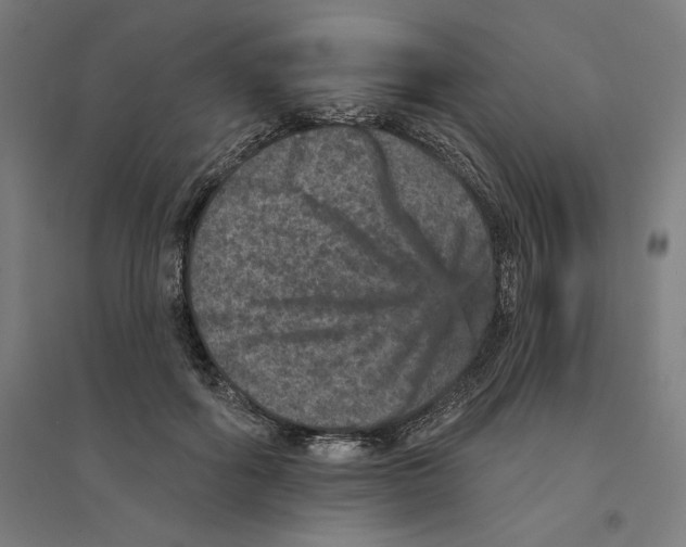 X0000094440602200712061139