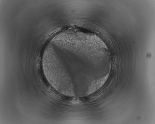 X0000094440604200712061139