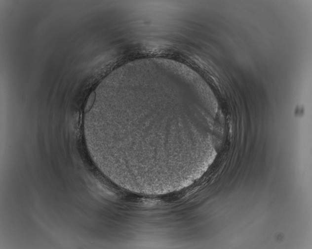 X0000094440605200712061139