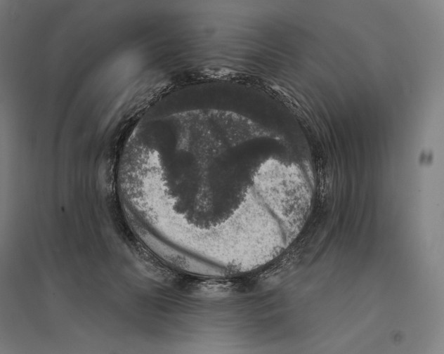 X0000094440606200712061139