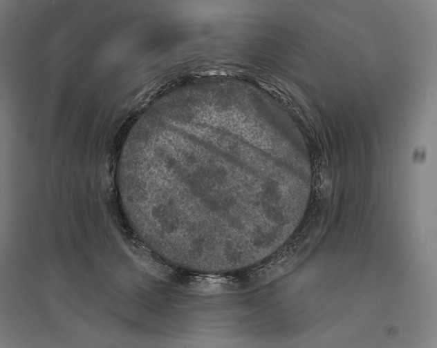 X0000094440607200712061139