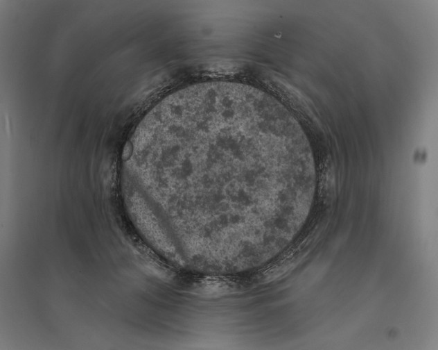 X0000094440608200712061139