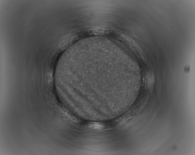 X0000094440610200712061139